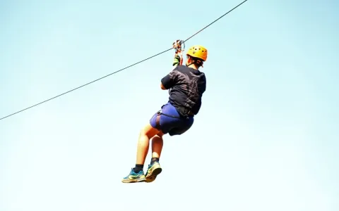 Zipline Adventure